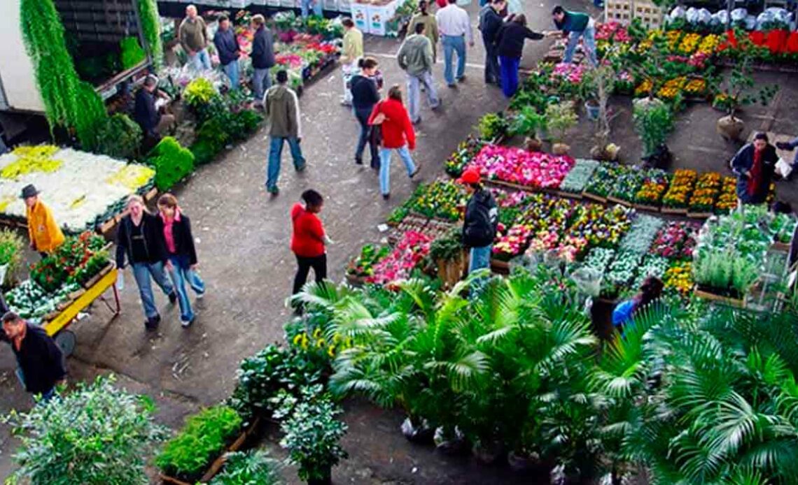 Ceagesp - Visão aérea do setor de floricultura