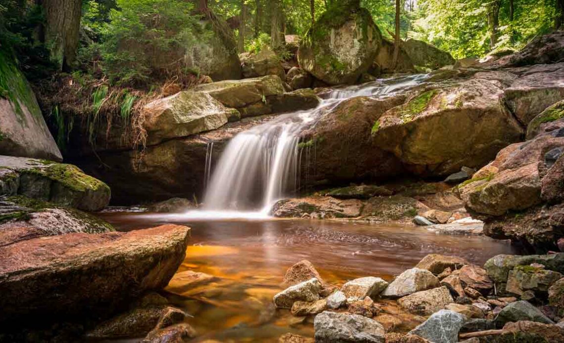 Nascente de água límpida com pequena queda d'água na floresta