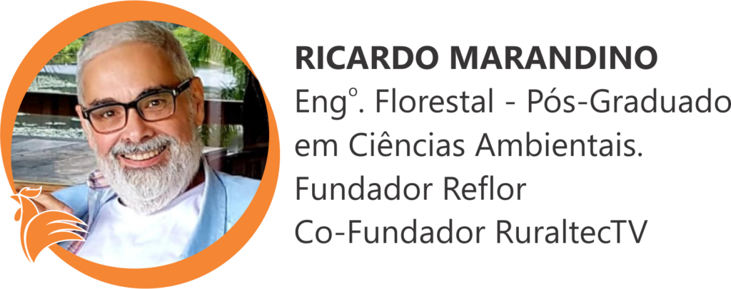 Engenheiro Florestal Ricardo Marandino