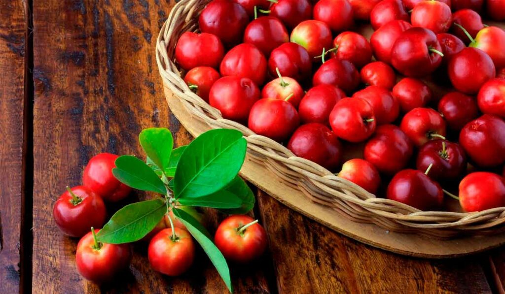 Acerolas na cesta sobre a mesa com alguns frutos fora da cesta