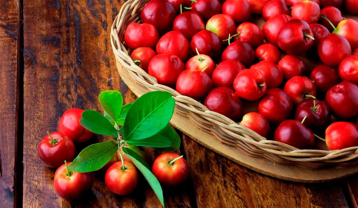 Acerolas na cesta sobre a mesa com alguns frutos fora da cesta