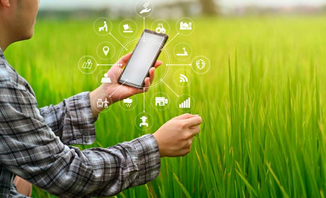 Agricultura 4.0 - agricultor conectado ao celular - gestão digital