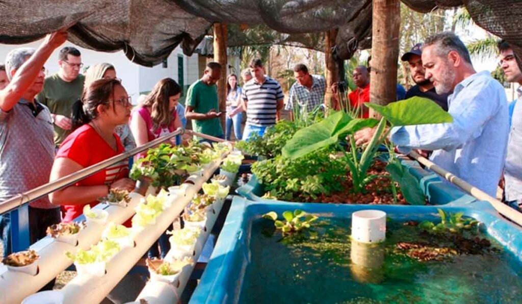 Sistema demonstrativo de aquaponia com pessoal ao redor para capacitação