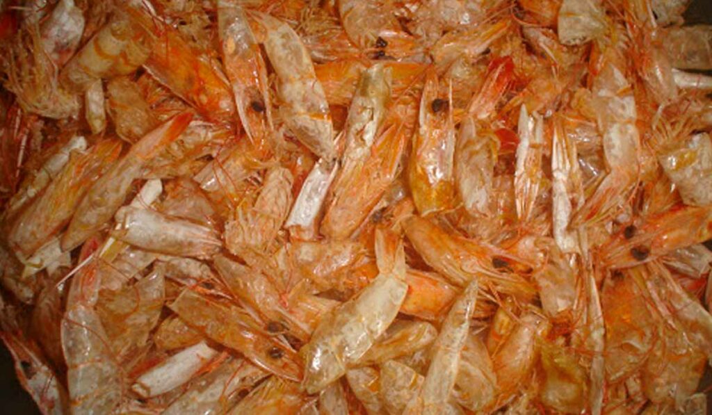 Cascas de camarão