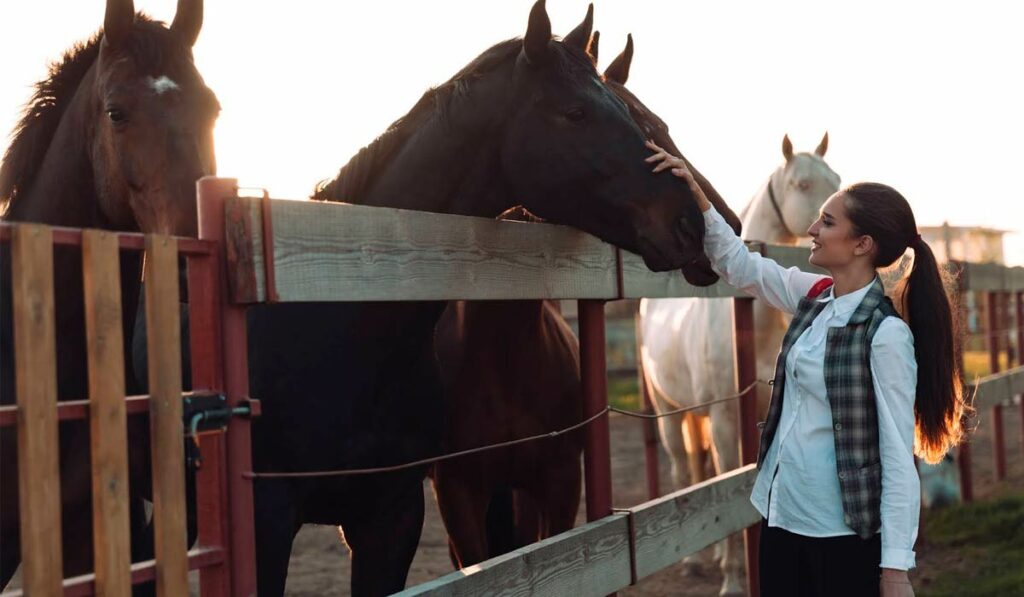 Equinocultora acariciando cavalos no piquete