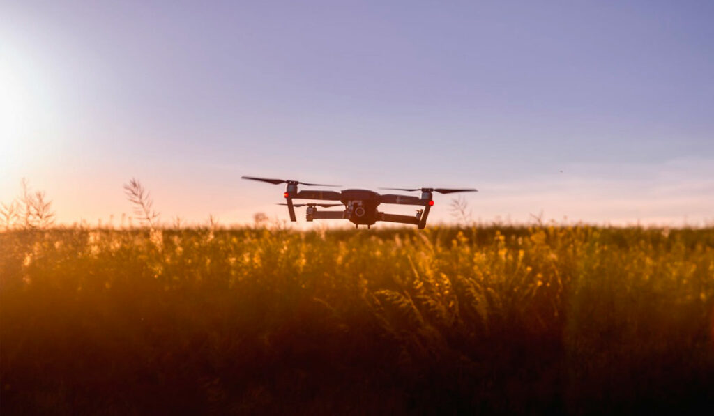Drone num voo rasante em lavoura