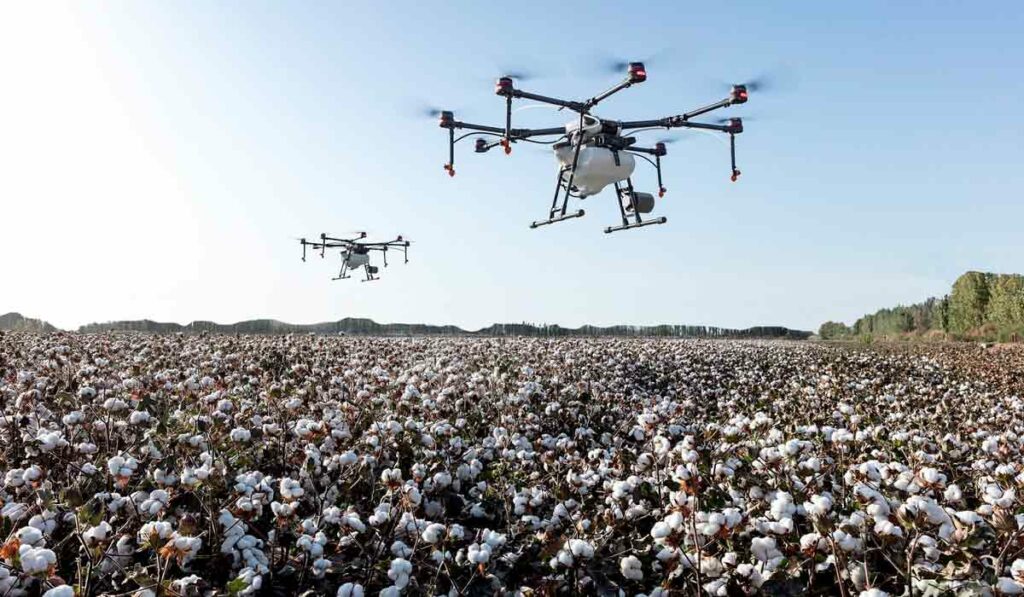 Drones sobrevoando lavoura de algodão