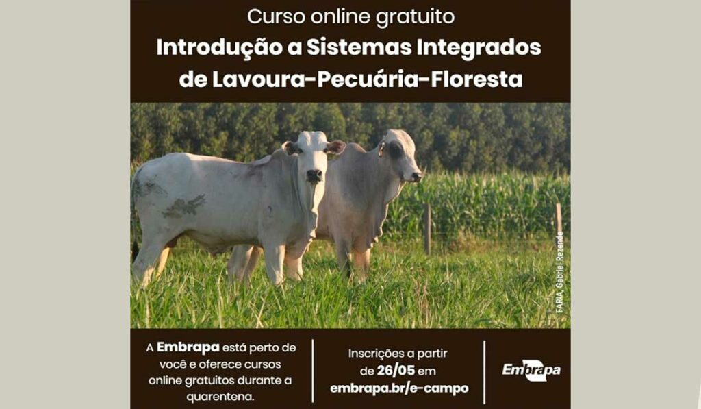 Curso online de ILPF da Embrapa