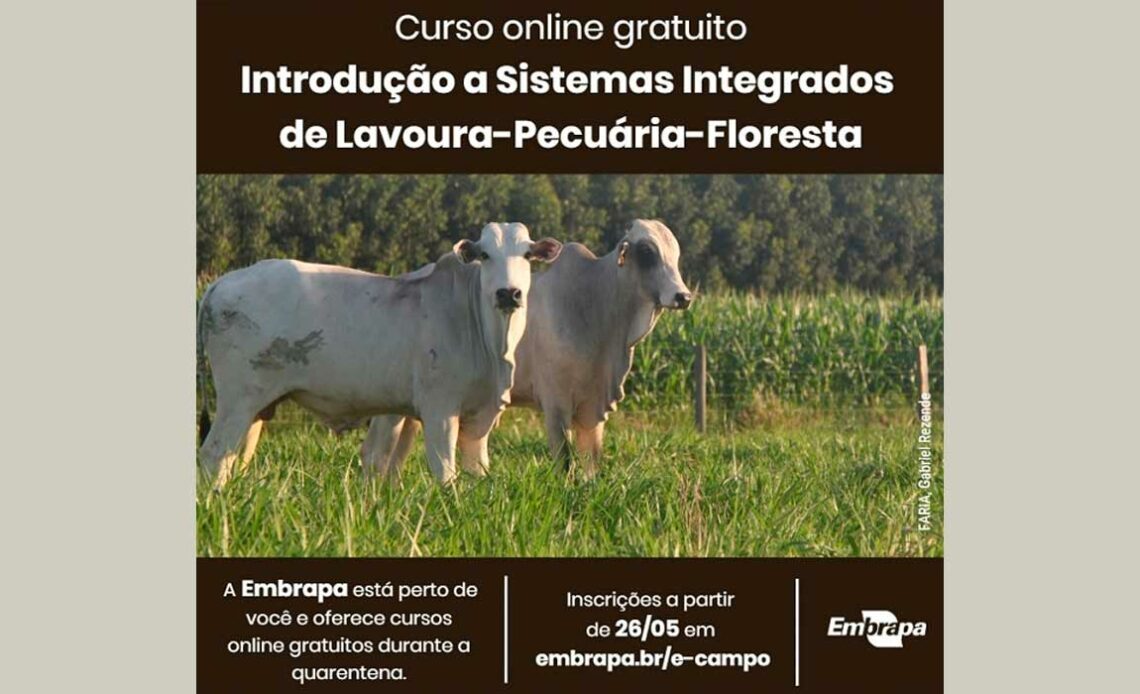 Curso online de ILPF da Embrapa