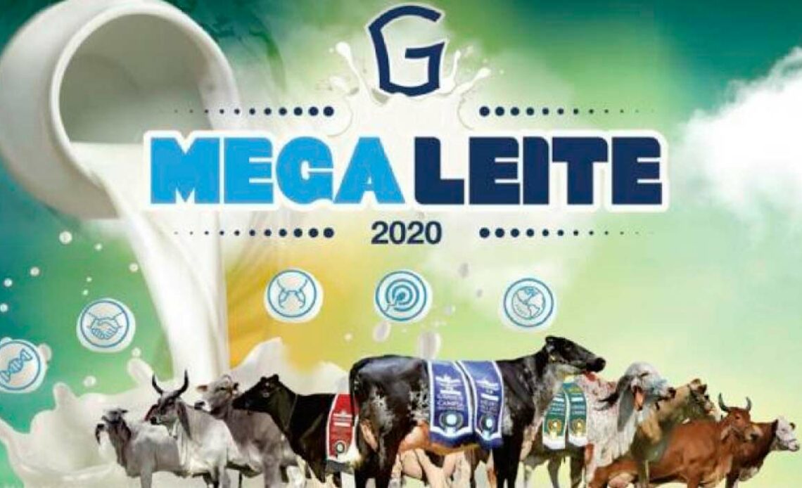 Chamada da Megaleite 2020