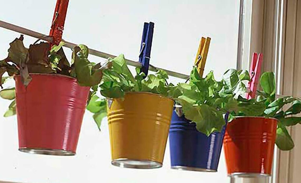 Vasos com hortaliças dispostos ao longo de uma janela
