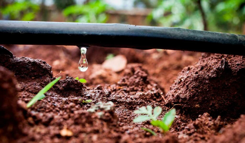 Sistema de gotejamento com gota caindo no local exato