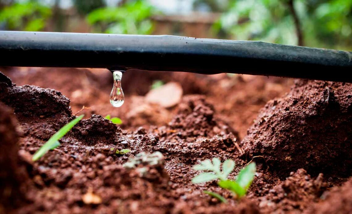 Sistema de gotejamento com gota caindo no local exato