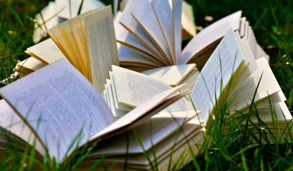 Livros abertos no gramado