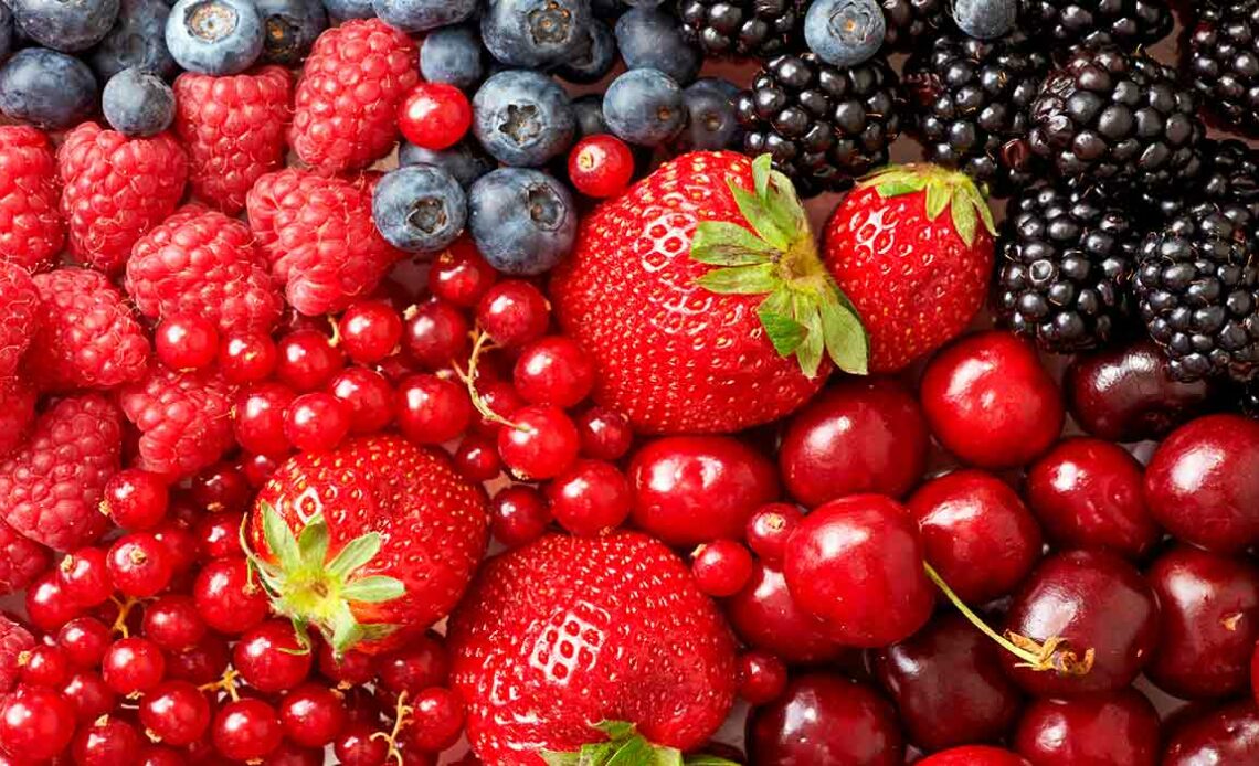 Berries ou frutas vermelhas - amora, mirtilo, framboesa e morango, cereja
