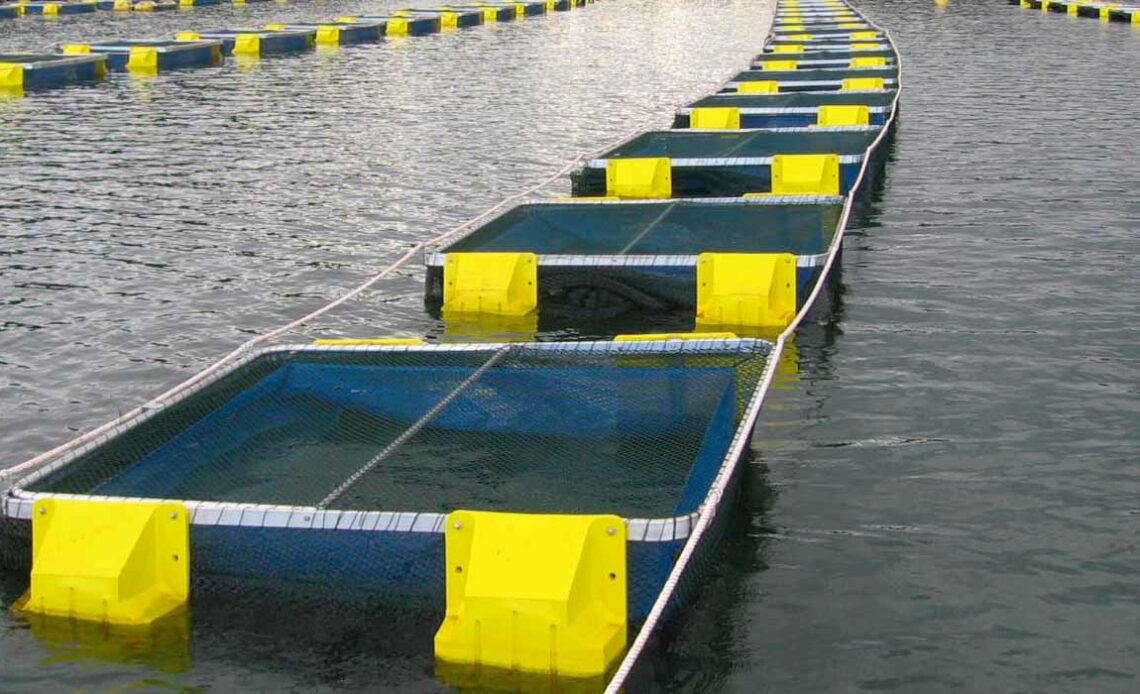 Tanques rede em represa