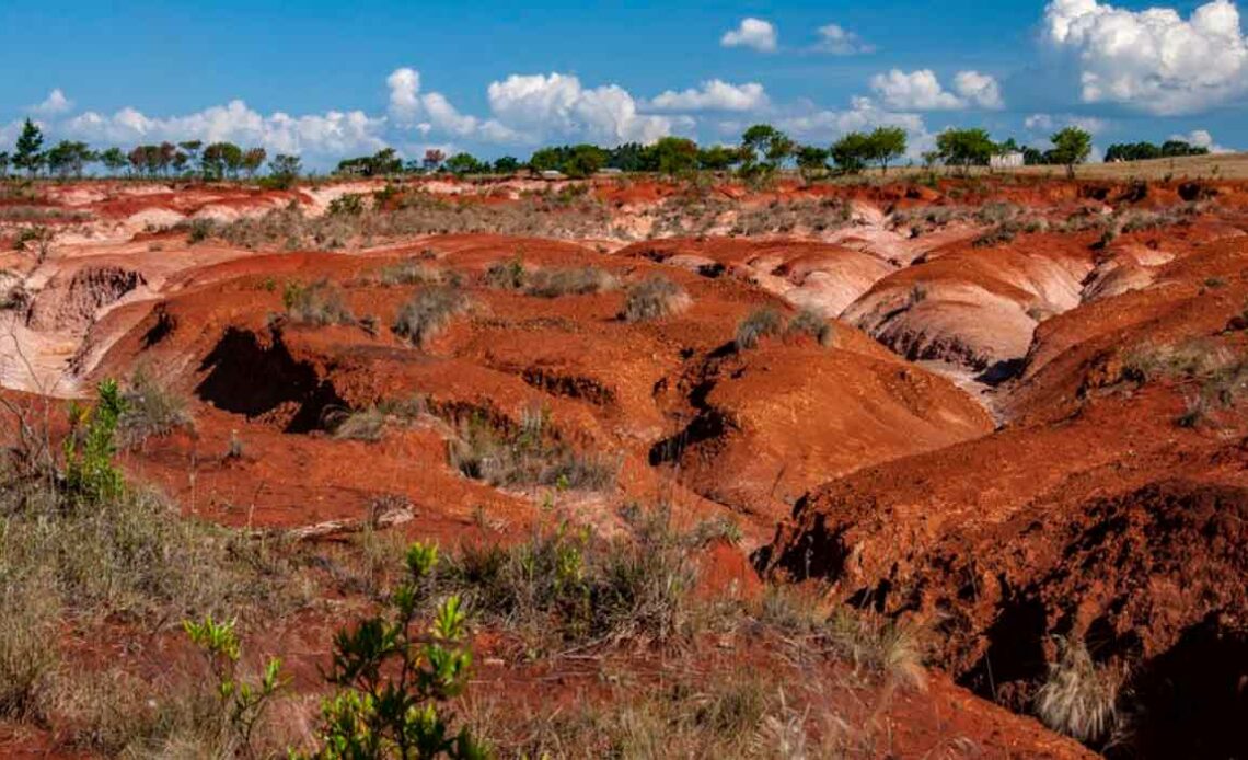 Erosão em solo agrícola