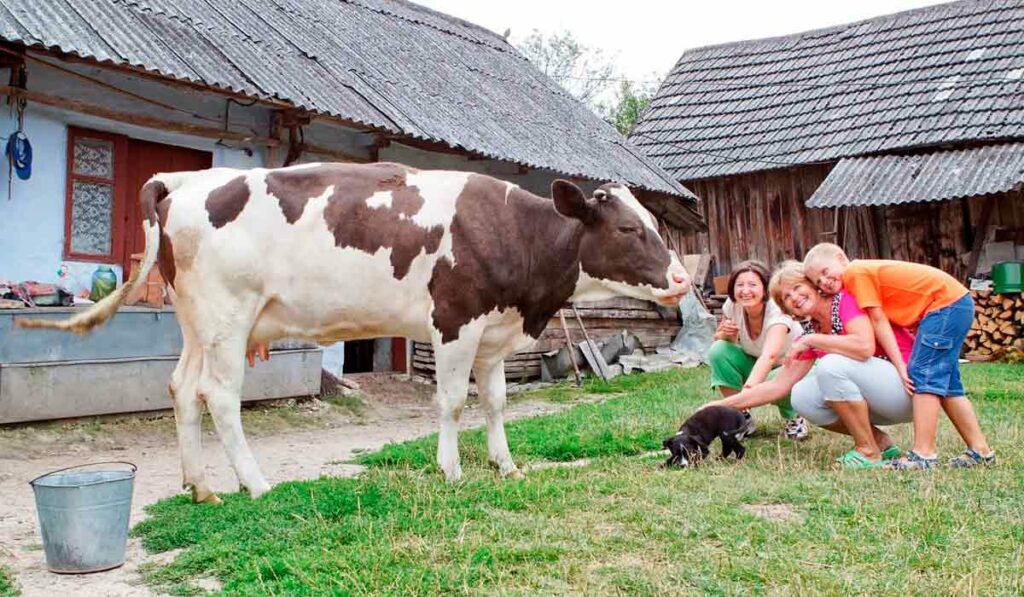 Família rural com seus animais