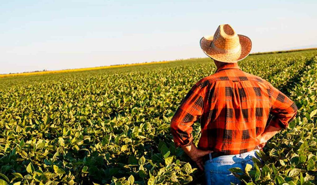 Agricultor na sua lavoura vislumbrando o horizonte