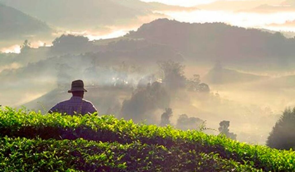 Agricultor integrado ao ambiente - Agricultura Biodinâmica