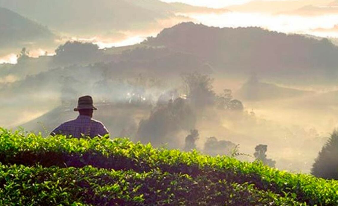 Agricultor integrado ao ambiente - Agricultura Biodinâmica