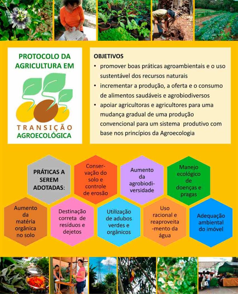 Ilustração do protocolo da agricultura em transição agroecológica