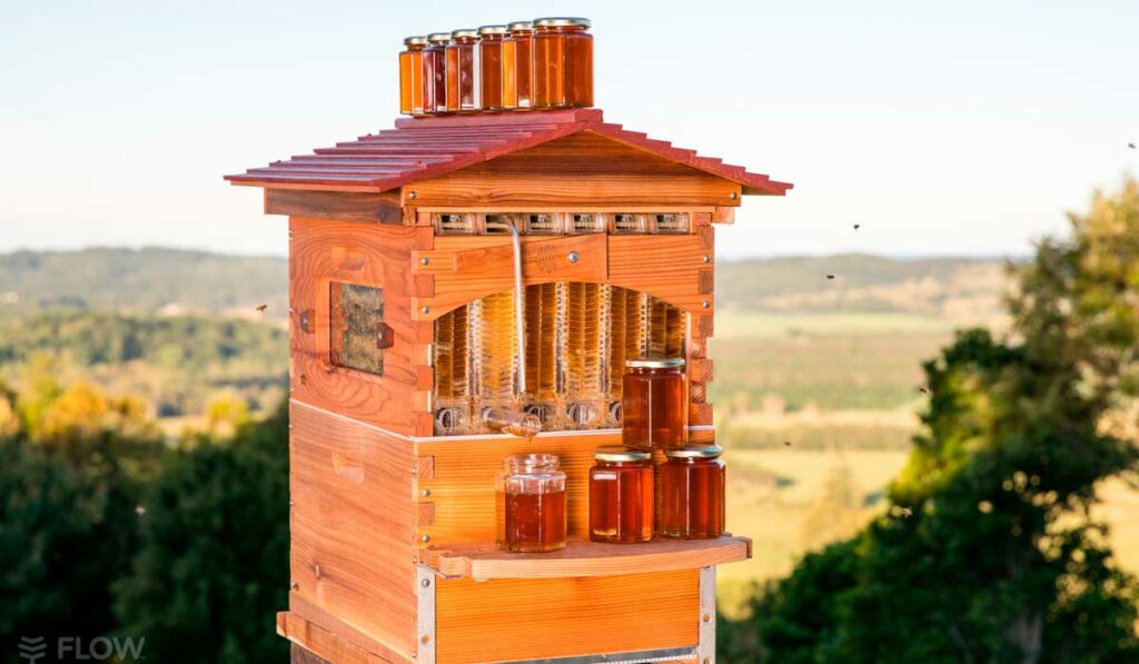 Colmeia "Flow Hive" com frascos de mel sendo coletados a campo