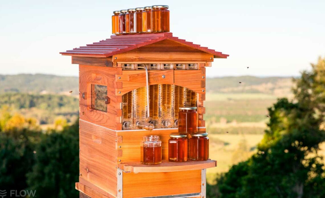 Colmeia "Flow Hive" com frascos de mel sendo coletados a campo