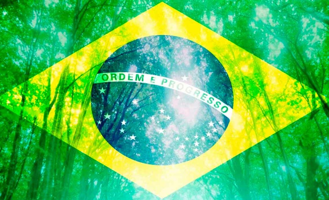 Bandeira brasileira com floresta em segundo plano