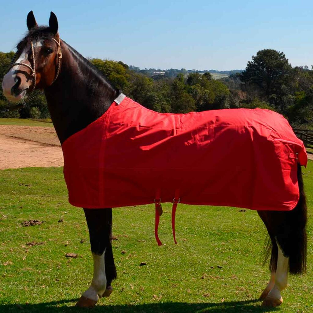 Cavalo com capa de inverno vermelha