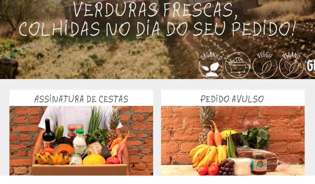 Plataforma on line - verduras frescas colhidas no dia do seu pedido