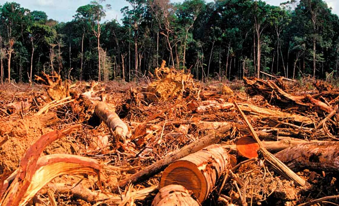 Desmatamento de florestas primárias