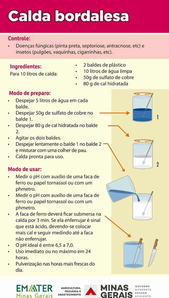 Receita de calda bordalesa