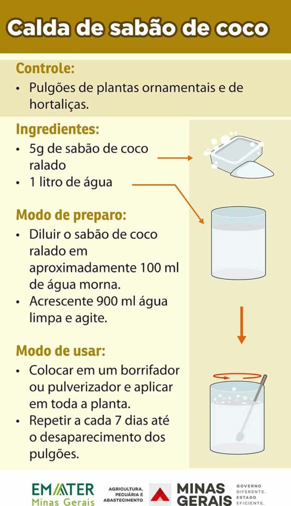 Receita de calda de coco