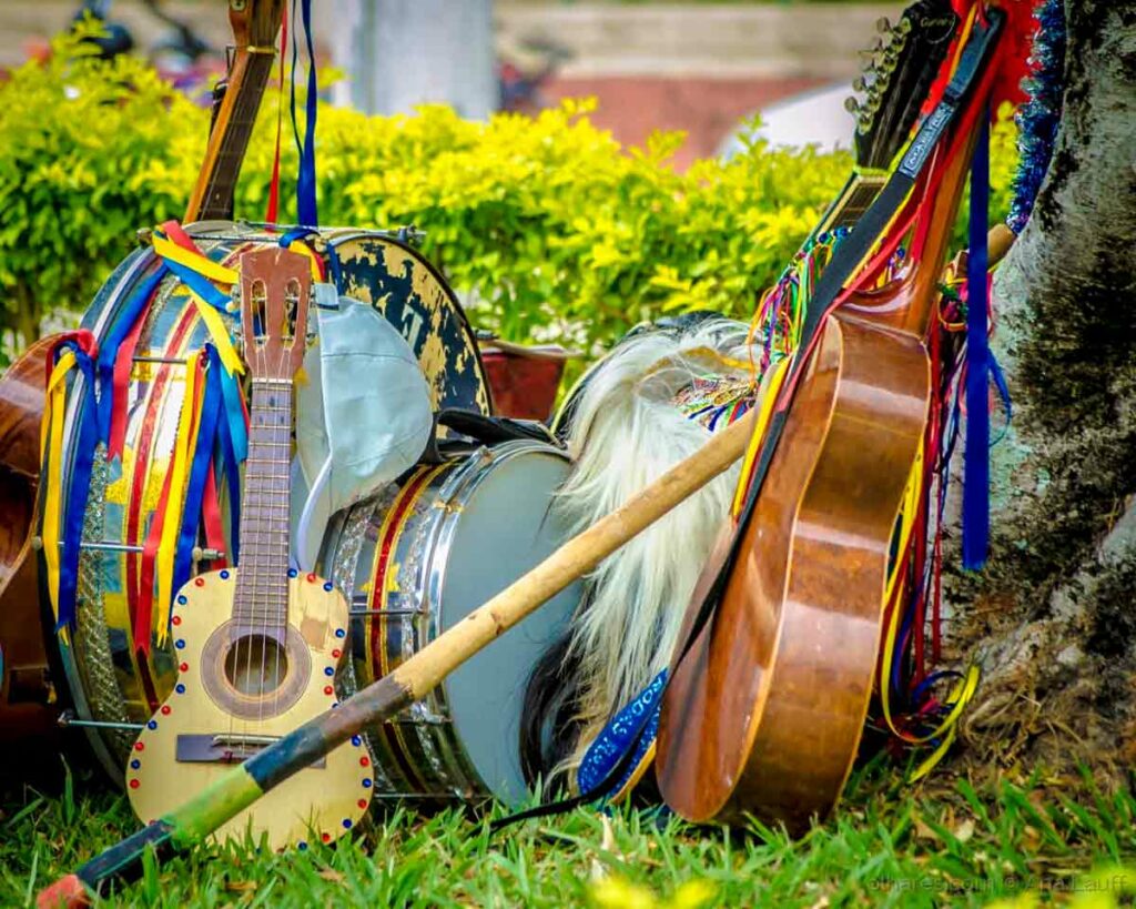 Folia de Reis - Instrumentos