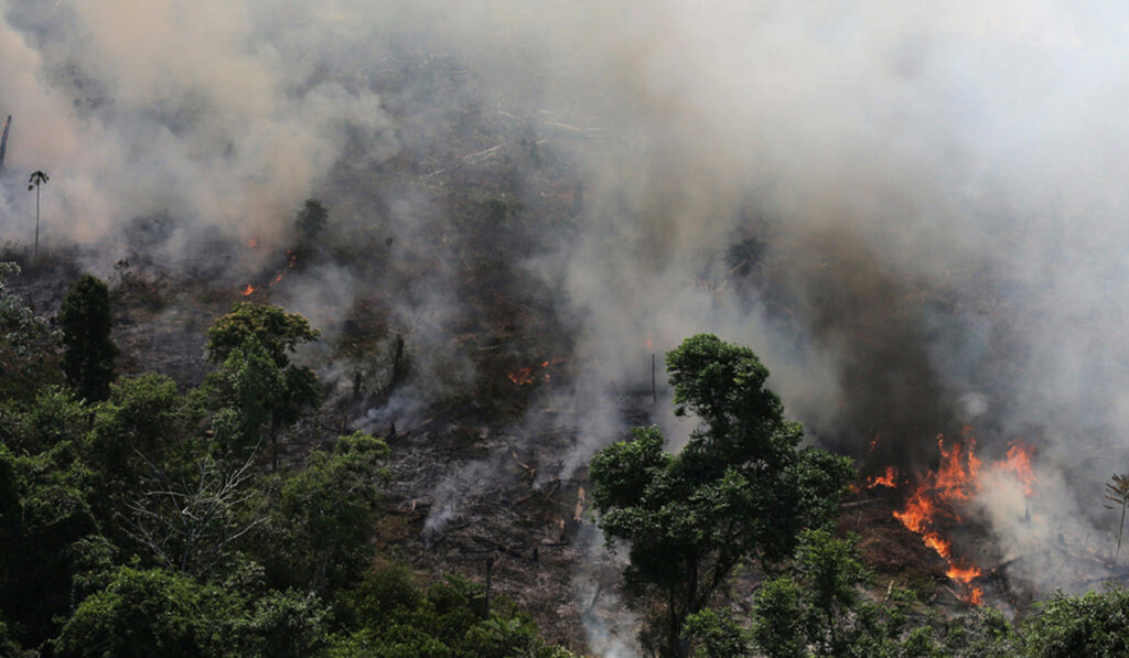 Incêndio florestal