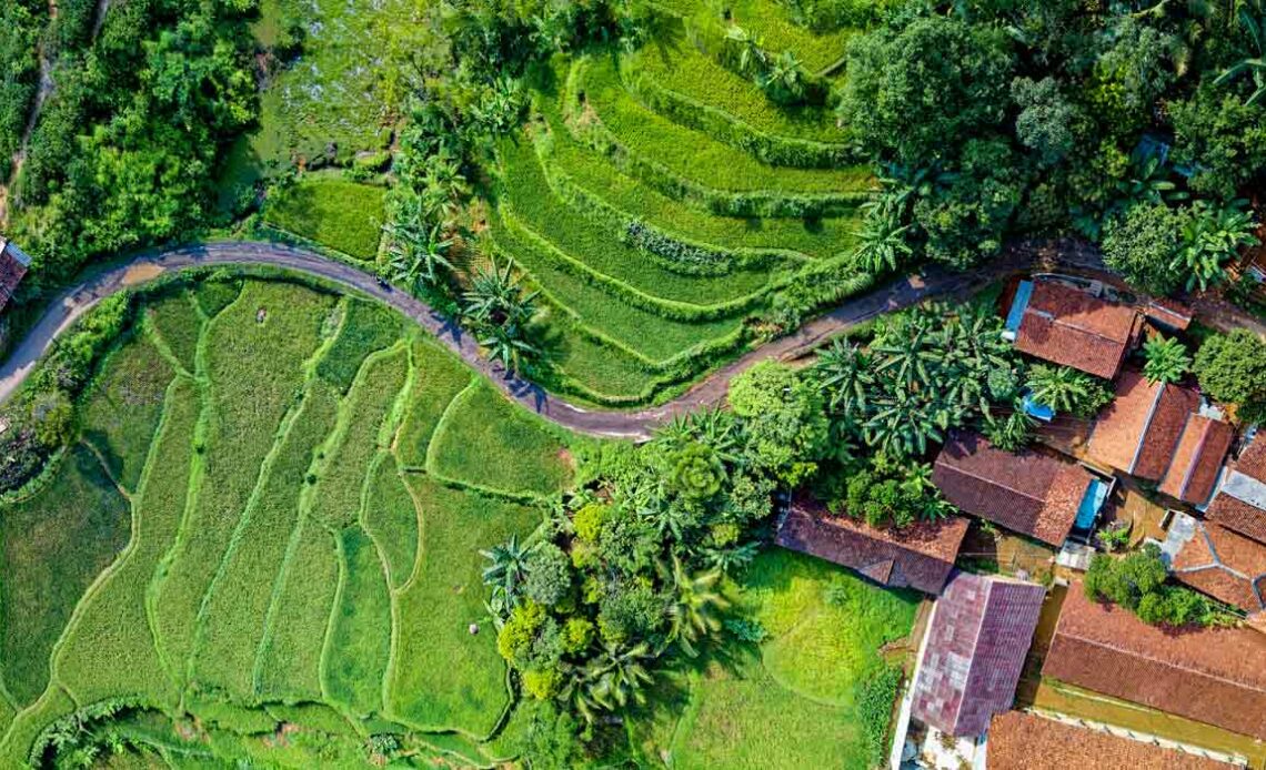 Área rural na Índia - vista drone