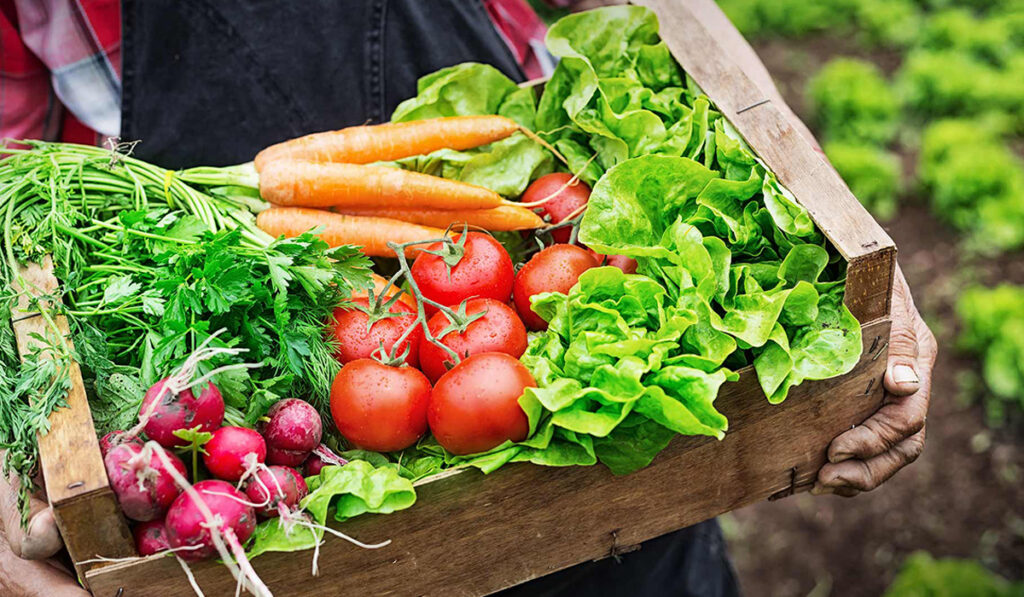 Agricultor com caixa de produtos orgânicos