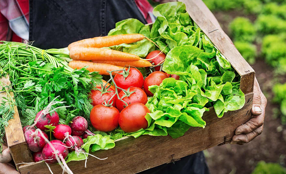 Agricultor com caixa de produtos orgânicos