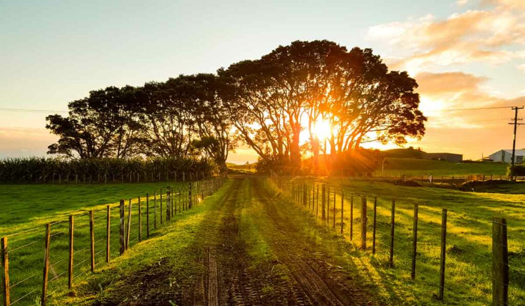 Estrada rural com cercas laterais, árvores à frente e por do sol