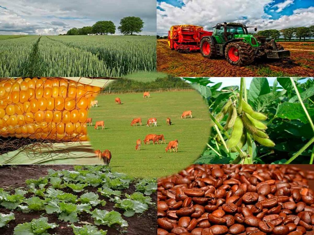 Plano Safra - Mosaico de vários setores da agropecuária