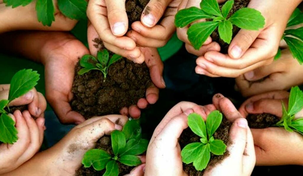 Educação ambiental - Estudantes segurando mudas