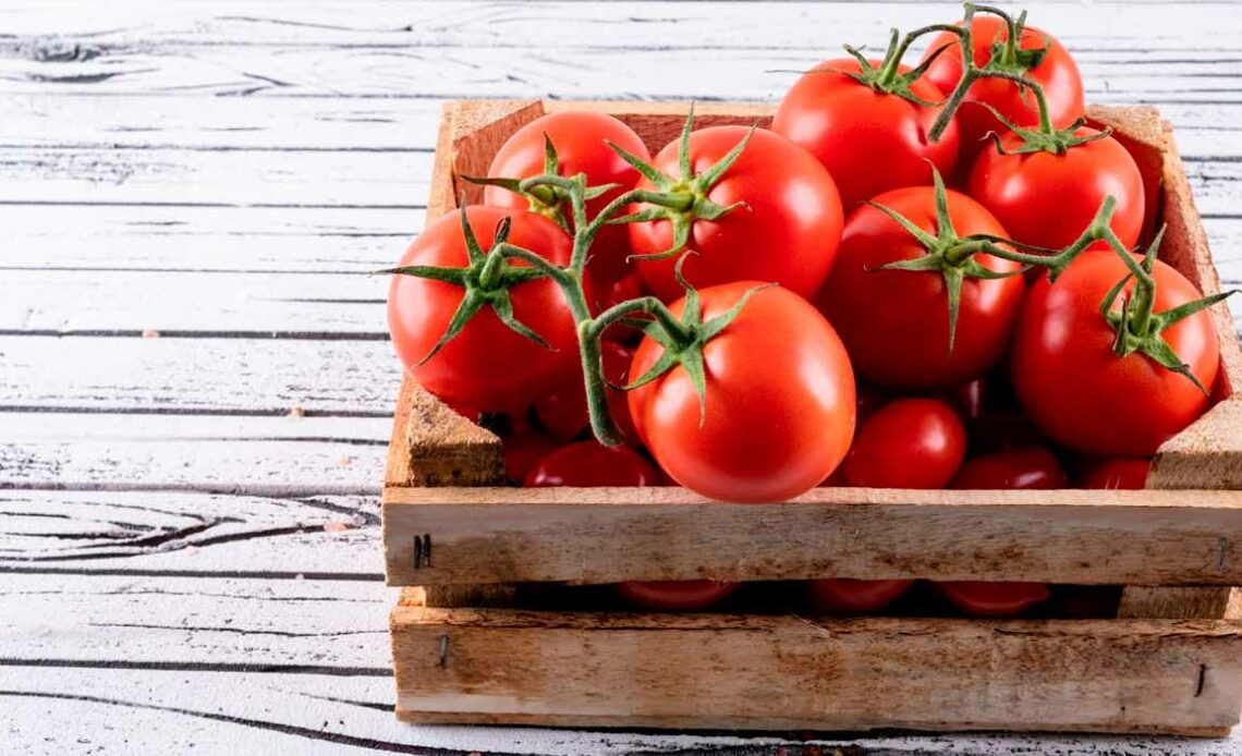 Caixa com tomates sobre a mesa