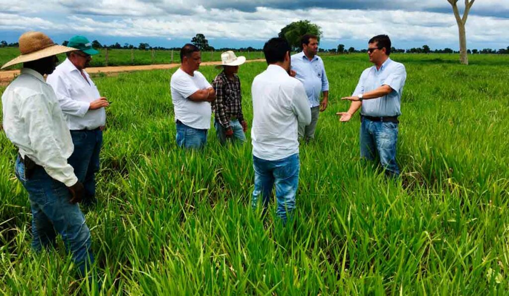 Reunião com equipe a campo