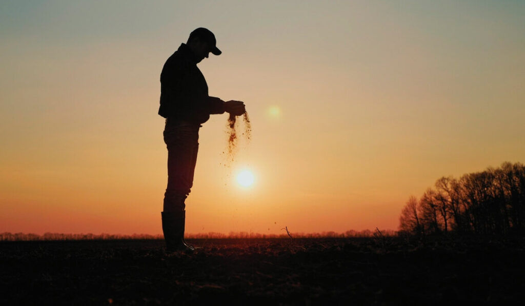 Agricultor deixando escorrer a terra das mãos com o por do sol ao fundo