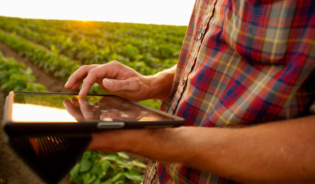 Agricultor com tablet na lavoura