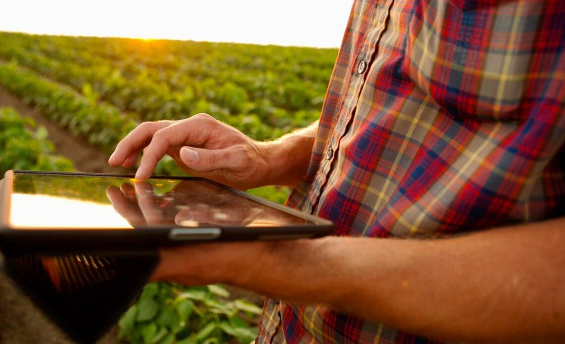 Agricultor com tablet na lavoura