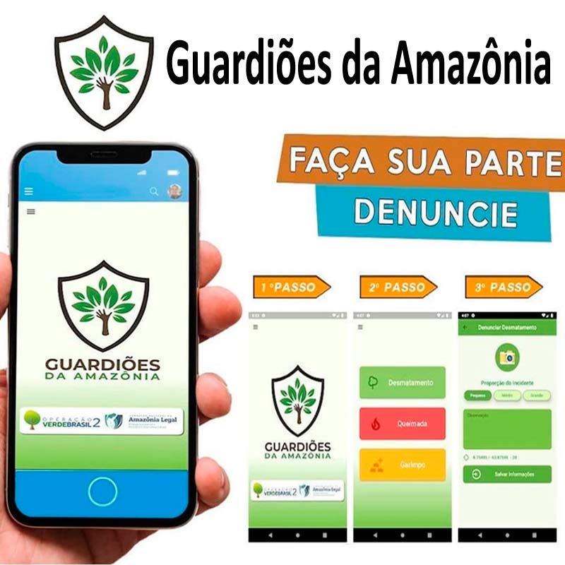 Smatphone com aplicativo Guardiões da Amazônia