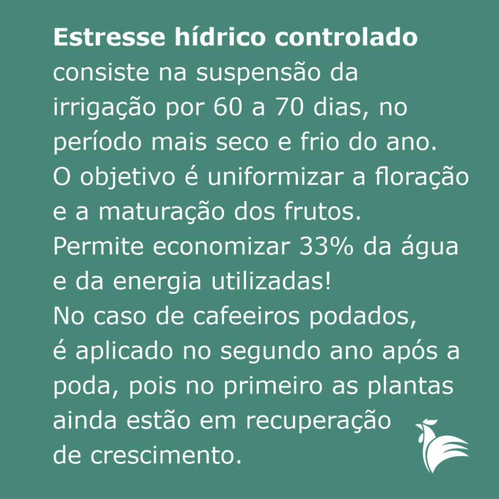 Estresse hídrico controlado