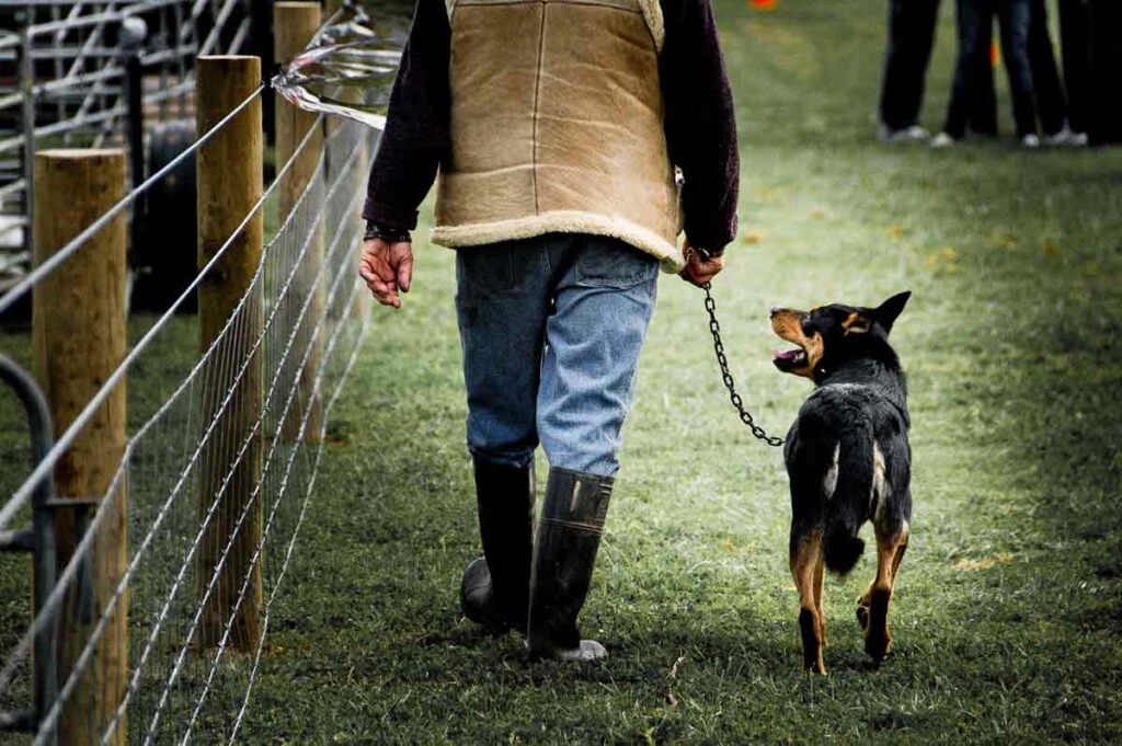 Fazendeiro caminhando com seu cão na guia